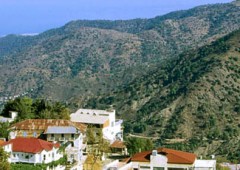 Cyprus Community Calls for Economic Solutions